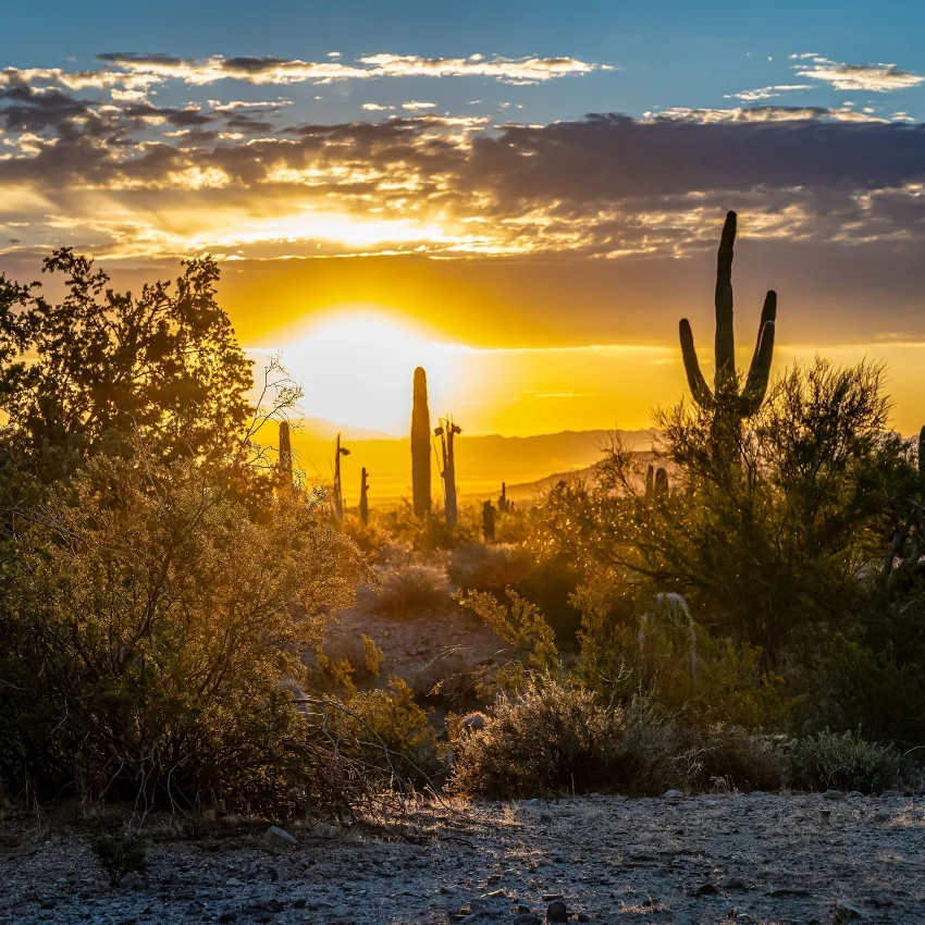 San Tan Valley Arizona Sunset San Tan Valley Arizona Sunset